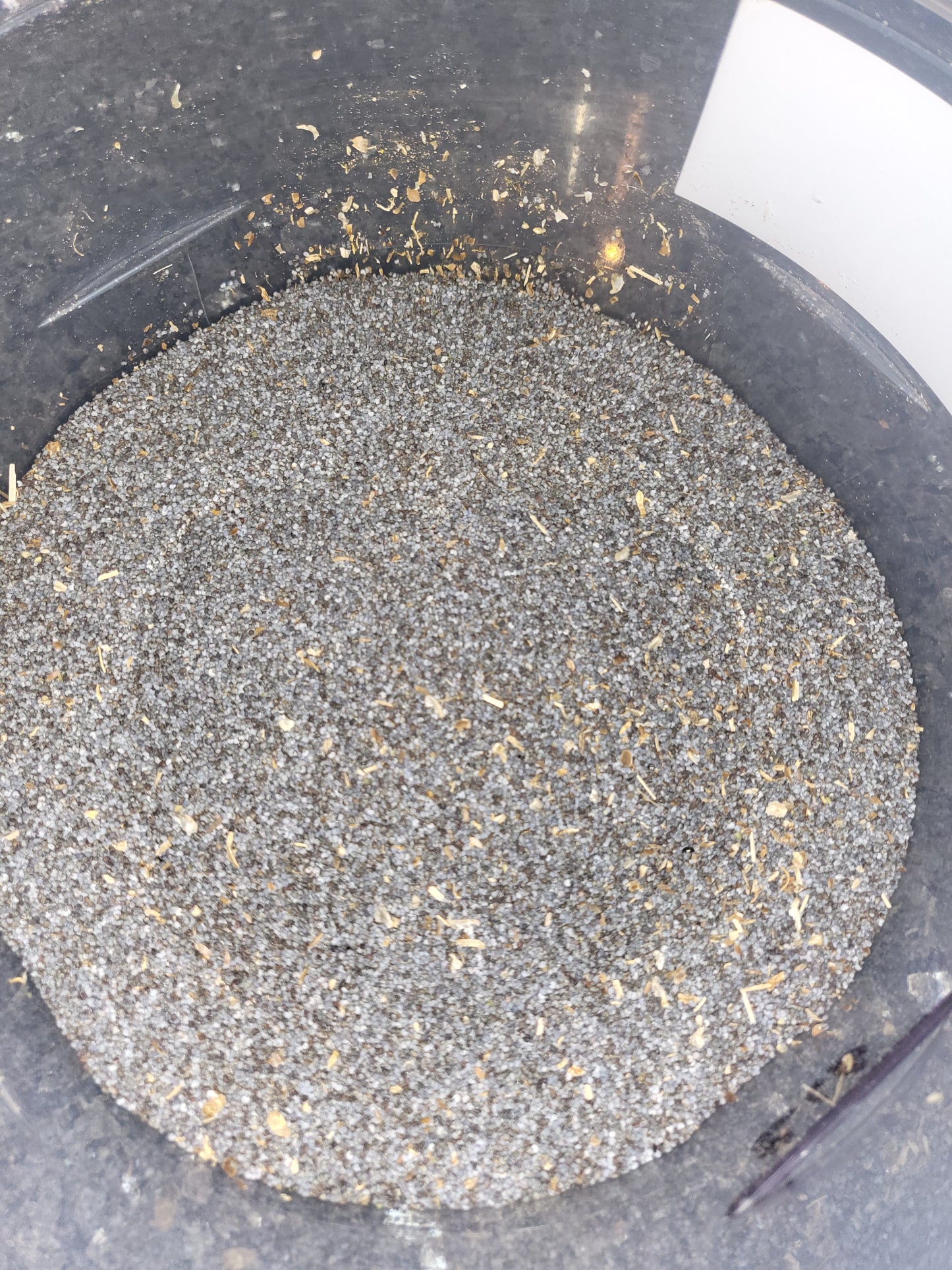 UK Blue Poppy Seeds - Premium Quality